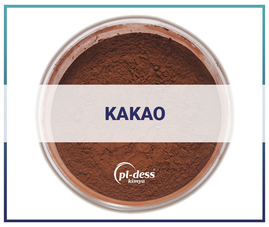 Cocoa Cacao